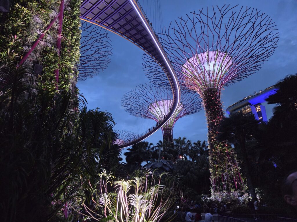 Seeing the big picture