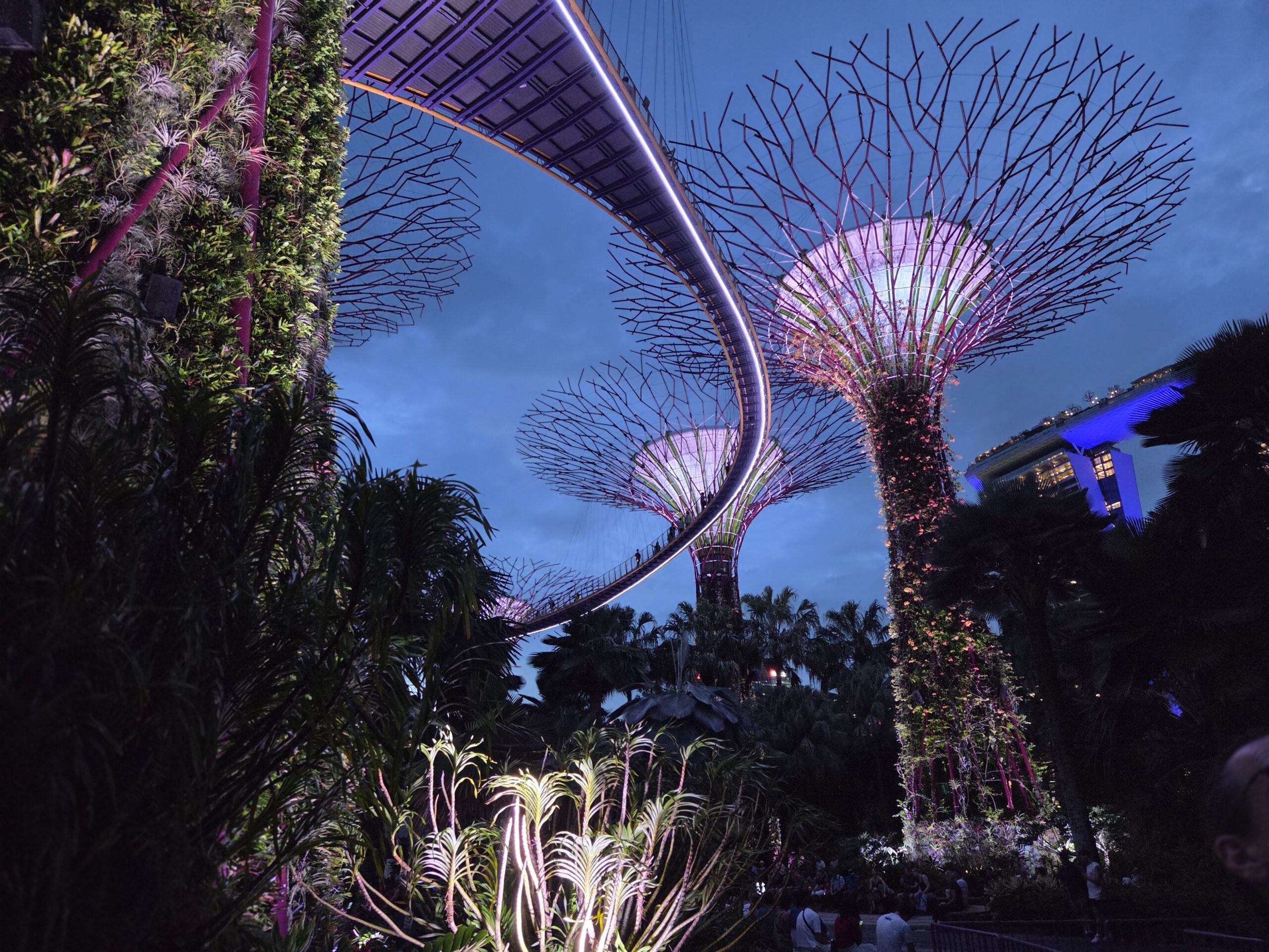 Seeing the big picture