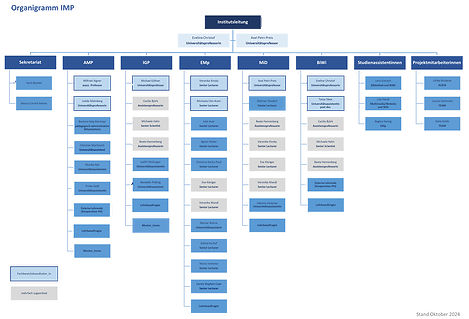 Organigramm des IMP - schematische Darstellung der Beschäftigten am Institut (Oktober 2024)