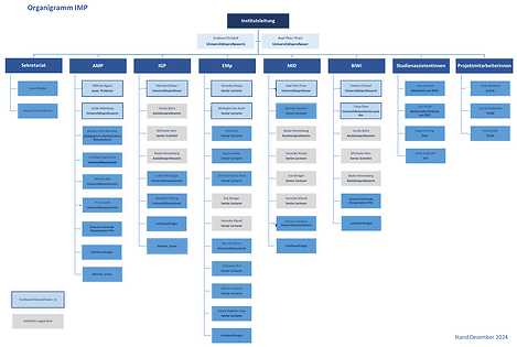 Organigramm des IMP - schematische Darstellung der Beschäftigten am Institut (Dezember 2024)